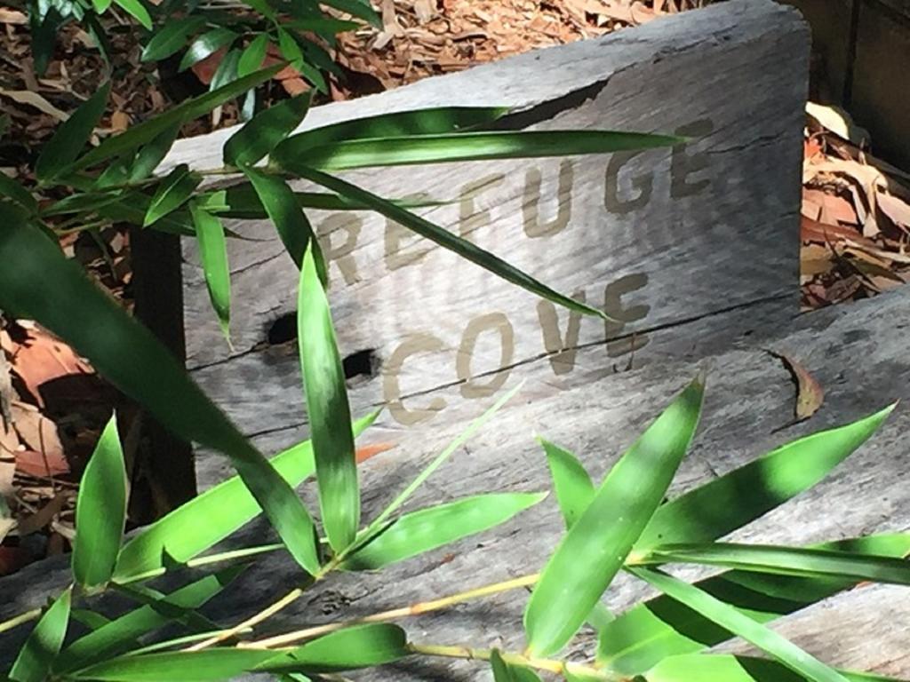 شقة Refuge Cove On Pittwater Clareville المظهر الخارجي الصورة